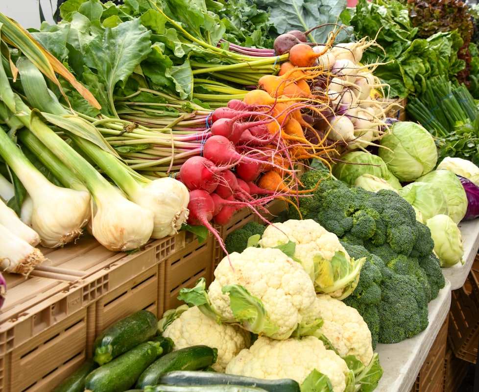 Antioxidants and Cellular Protection