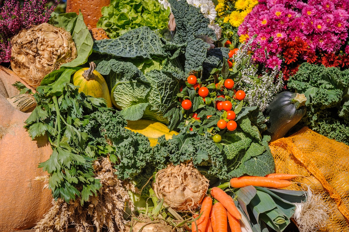 Building Sustainable Eating Habits